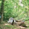 Creekside Camping, Forest & Field