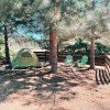Mountain Brook Meadow Campsite