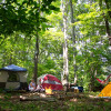 Site 5 Primitive Group Camping