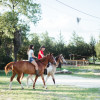 Horse lovers, nature lovers  campin