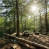 Overlook Forest Camp - Open!