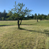 Site 4 - Flathead Lake Cherry Farm Camping