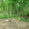 Site 3-wooded rustic site