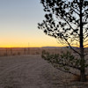 Estancia Valley Desert