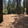 Camp Shady Meadow (RV/Tent Sites)
