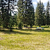 Sunberry Meadows
