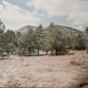 Sugarloaf Outlook