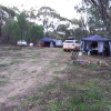 EMU LARGE GROUP  Camp