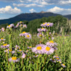 Beautiful mesa mountain top