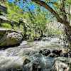 Buckhorn Cliffs Luxury Camp