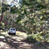 Site 2 Forest Ridge
