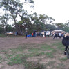 Kangaroo Isolated  Bush Camp Area