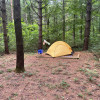 Campground - Woods Camping Sites A
