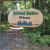 Dashwood Meadows