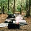 BlackBerry Pines Disc & Camp