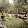Nested in Nature - Group Camping