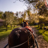 Peaceful Horse Ranch Retreat