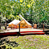 The Enchanted 100acre Forest