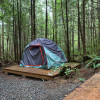 Sol duc Rainforest camping site 1b