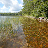 Karen’s Campsite on Boyden’s Lake