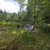 Trailside Wooded Camp