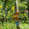 Hippie Holler