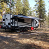 Trout Pines Camping
