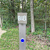 B18 English Pale Campground