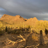 Saguaro National Monument West 