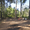 Pine forest, 5 minutes to the beach