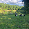 Pond Spot on 300 Acres!