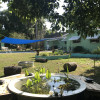 Nurturing Gardens Homestead-pool
