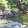 Tecoma Acreage Nature Reserve
