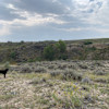 Rocky Acres Remote Area