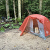 Cedar Creek Forest Camping
