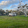 Coomunga Wines Campsites