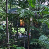 Crystal Creek Treehouse