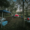 Camping Along the Creek