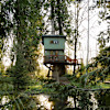 Sanctuary in the Trees