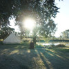 Glamping in the Olive Grove