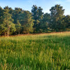 Pachamanka Prairie + Woodlands