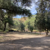 Site 1 - Thousand Oaks Campsites