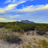 Besitos Del Sol Chihuahuan Desert