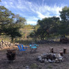 Blasingame Creek Camp