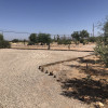 Saguaro Site Full Hookup NW Tucson