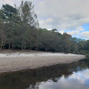 Ohoopee River Private Sandbar