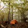 Wooded tent camps with lake access