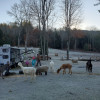 Farm Animal Rescue - RV Site