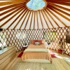 luxury Yurt Site  2