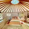 Luxury Yurt 